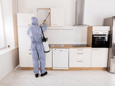 About Commercial Pest Control Pros - eco-friendly pest control experts in Succasunna